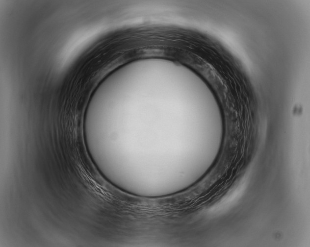 X0000100860194200806200846