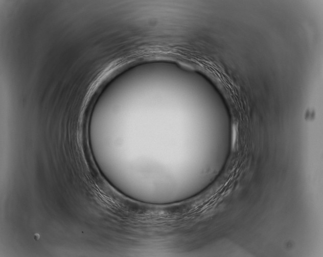 X0000100860195200806200846