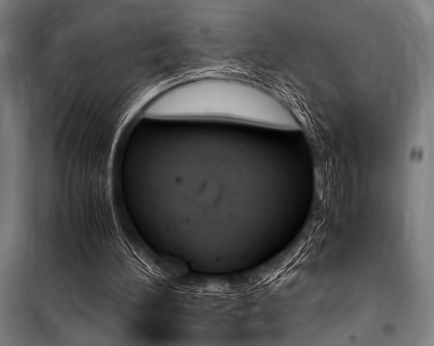 X0000100860196200806200846