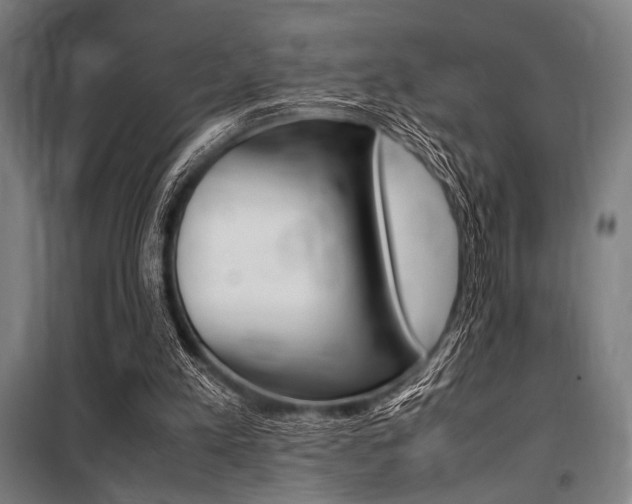 X0000100860197200806200846