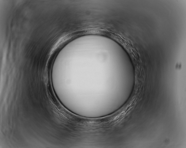 X0000100860198200806200846