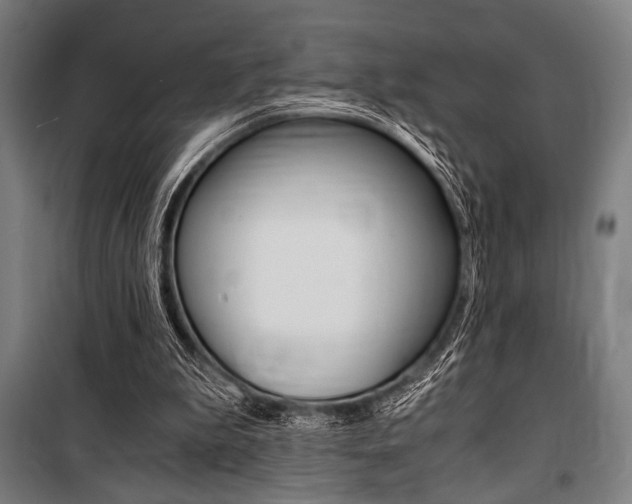 X0000100860199200806200846