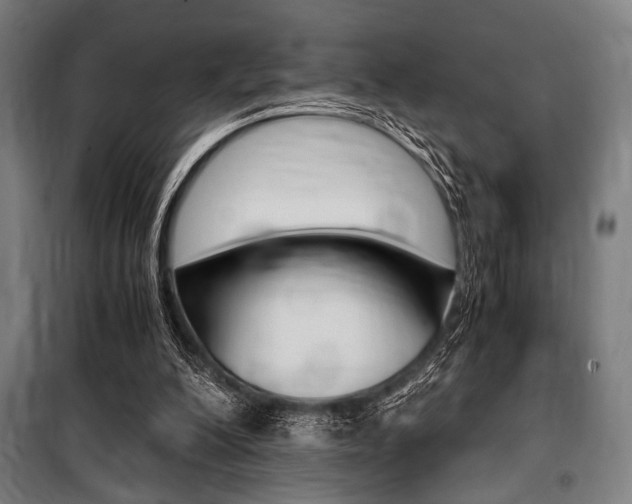 X0000100860200200806200846