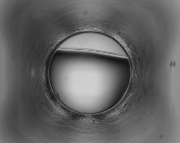 X0000100860201200806200846