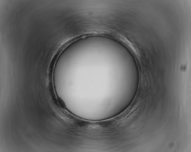 X0000100860203200806200846