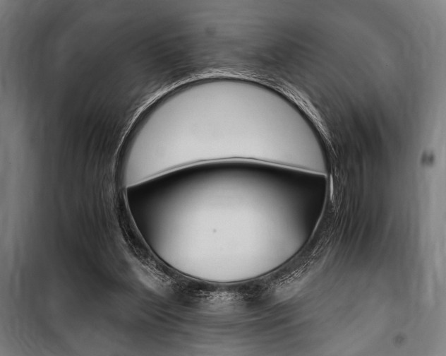 X0000100860204200806200846