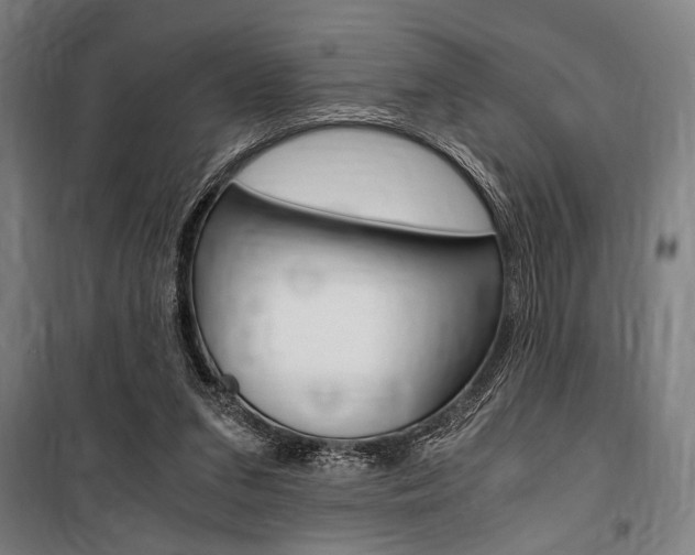 X0000100860207200806200846