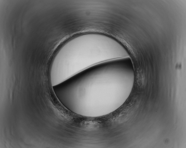 X0000100860208200806200846