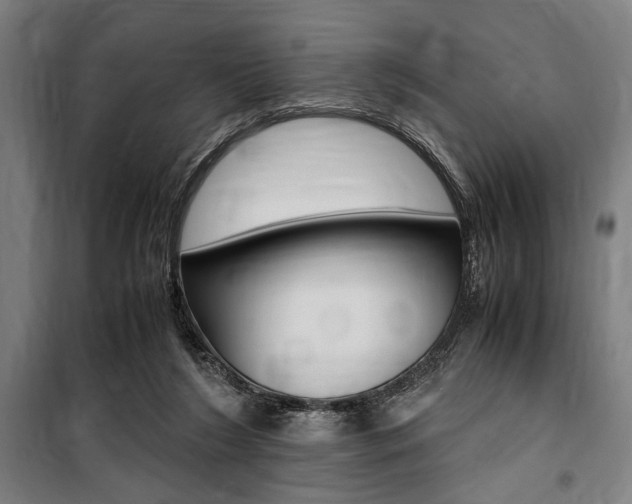 X0000100860212200806200846