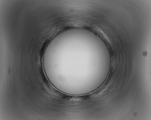 X0000100860213200806200846