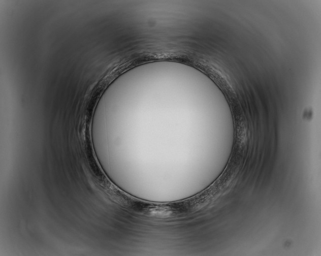 X0000100860214200806200846