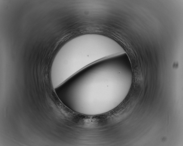 X0000100860216200806200846