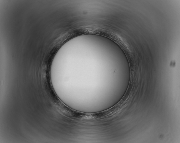 X0000100860217200806200846