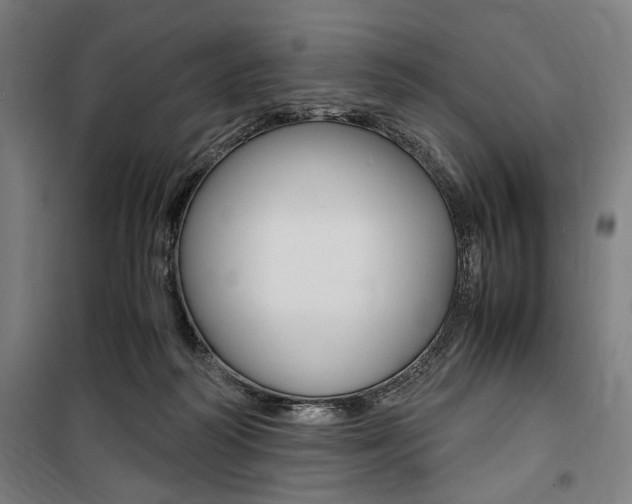 X0000100860218200806200846