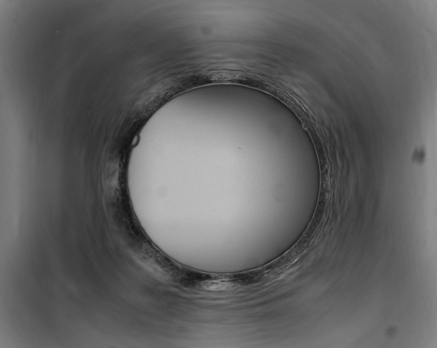 X0000100860219200806200846