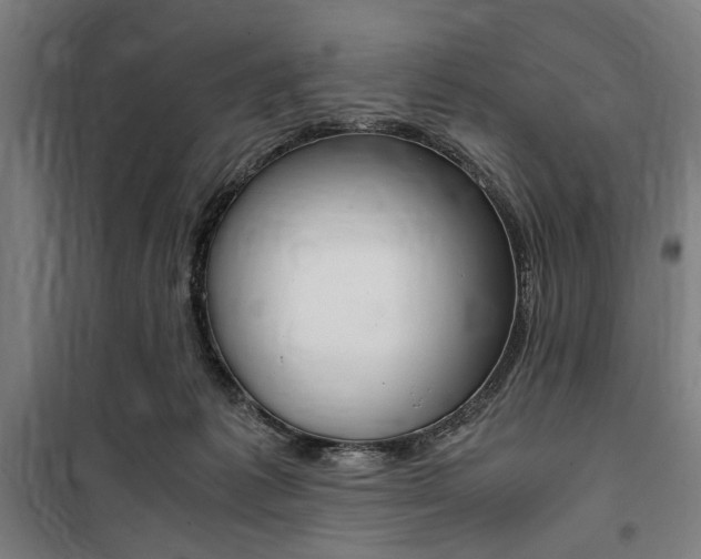 X0000100860221200806200846