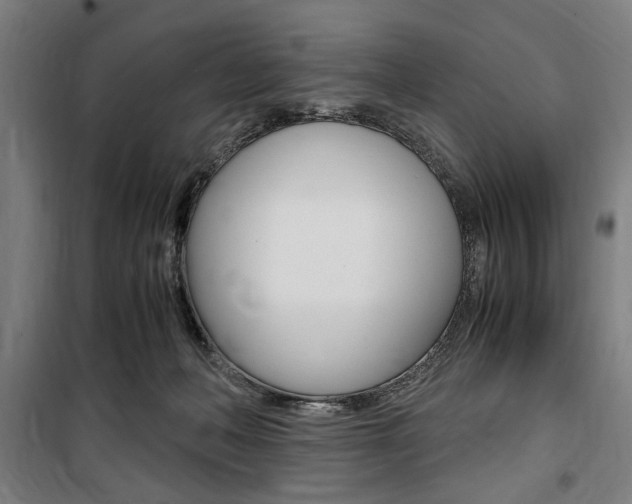 X0000100860222200806200846