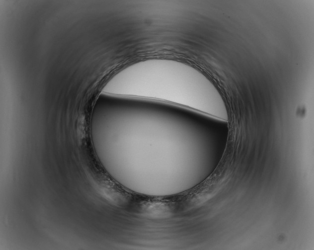 X0000100860224200806200846