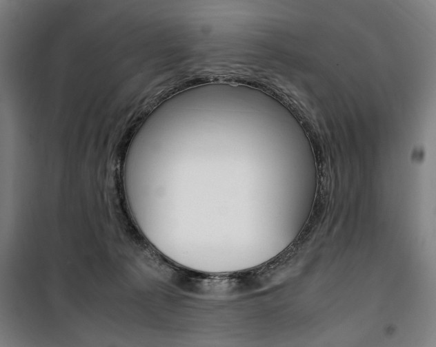 X0000100860225200806200846