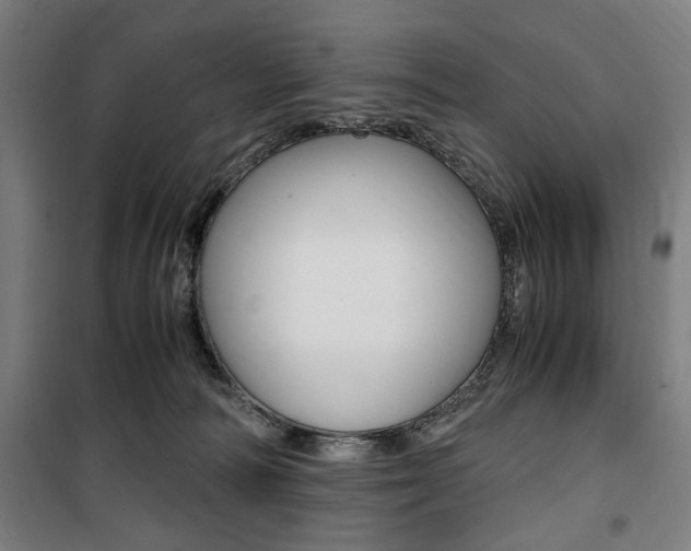 X0000100860226200806200846