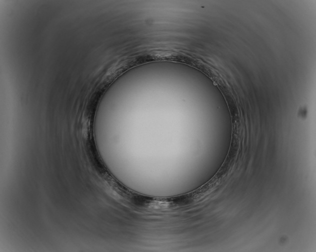 X0000100860227200806200846