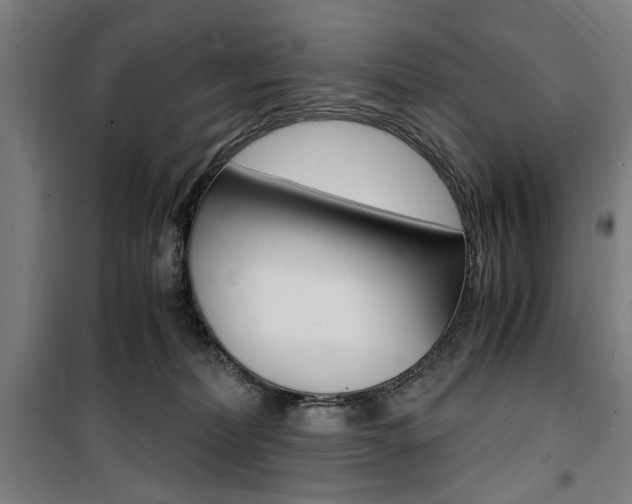 X0000100860228200806200846