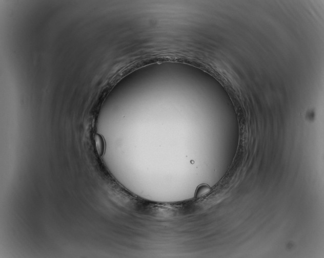 X0000100860229200806200846