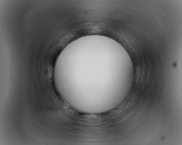 X0000100860230200806200846