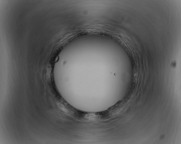 X0000100860231200806200846