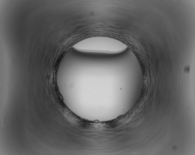 X0000100860233200806200846