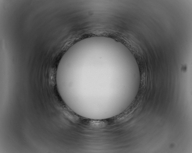 X0000100860234200806200846