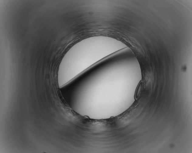 X0000100860236200806200846