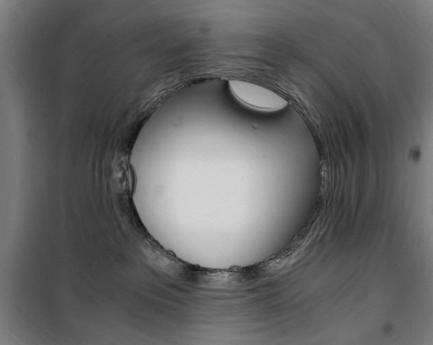 X0000100860237200806200846