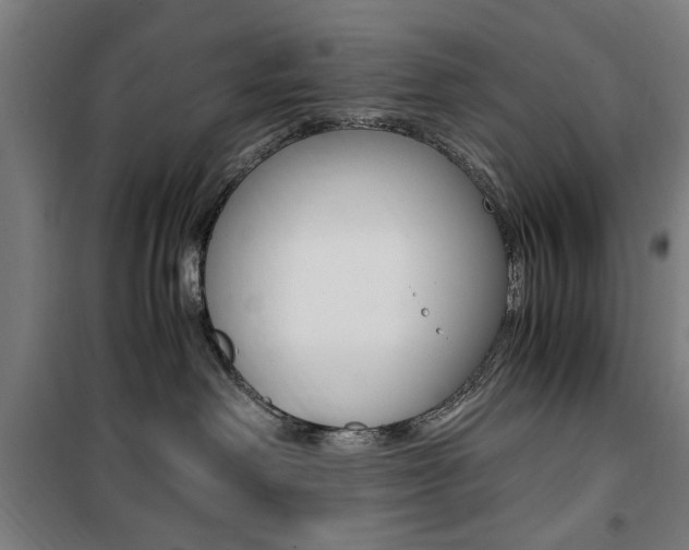 X0000100860238200806200846