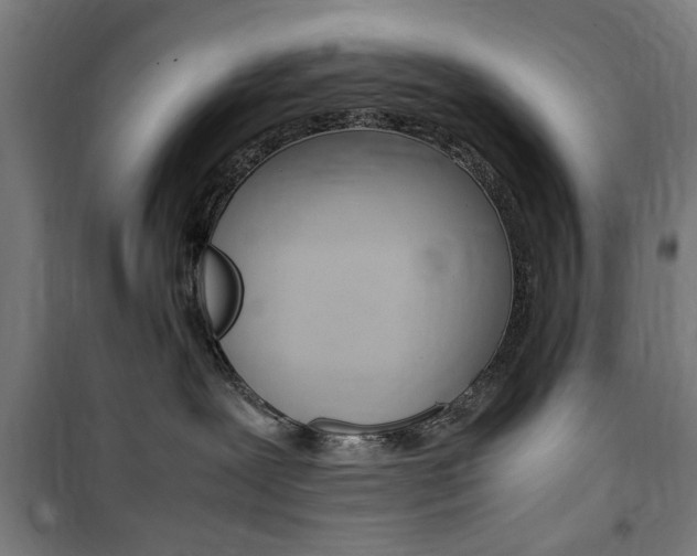 X0000100860239200806200846