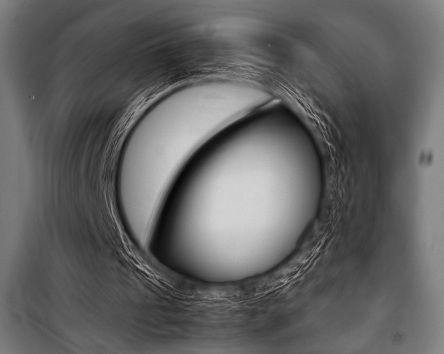 X0000100860241200806200845