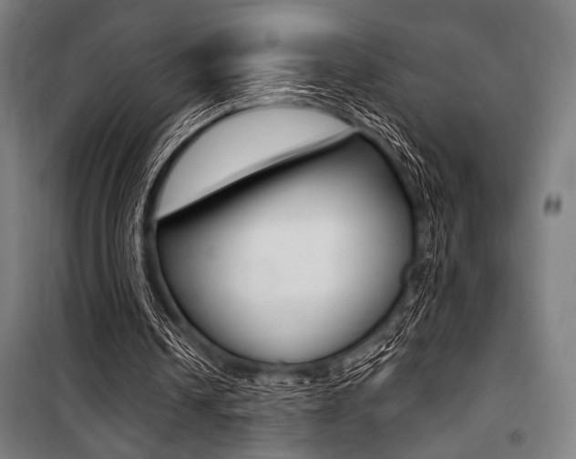 X0000100860242200806200845