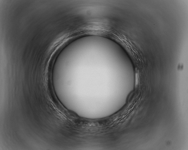 X0000100860243200806200845