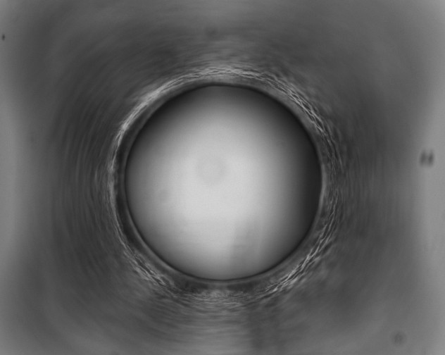 X0000100860244200806200845