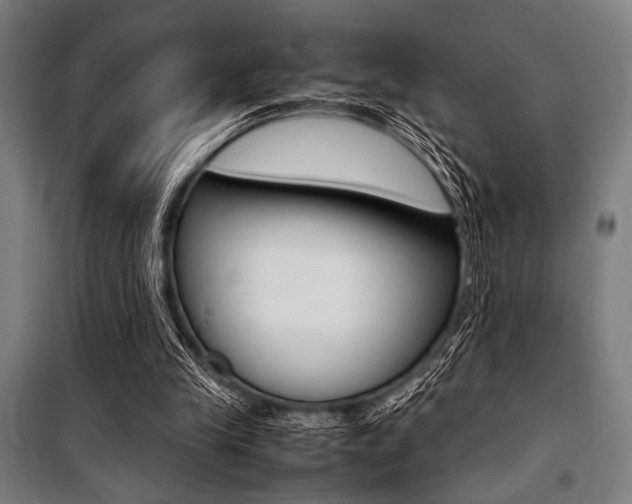 X0000100860245200806200845