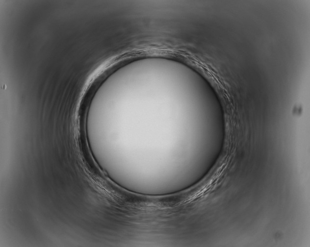 X0000100860246200806200845