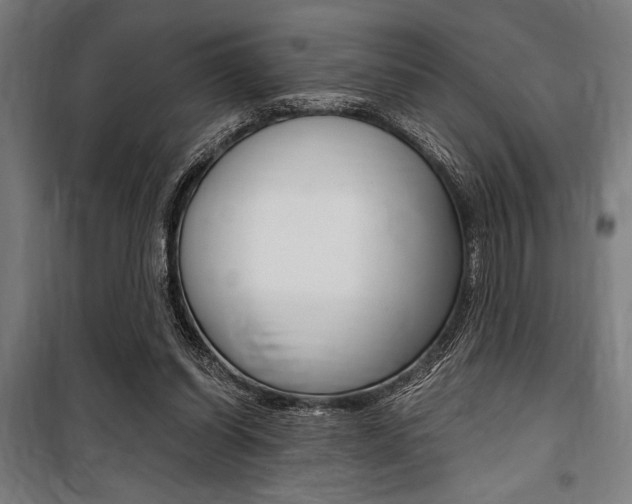 X0000100860254200806200845