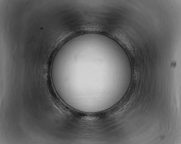 X0000100860255200806200845