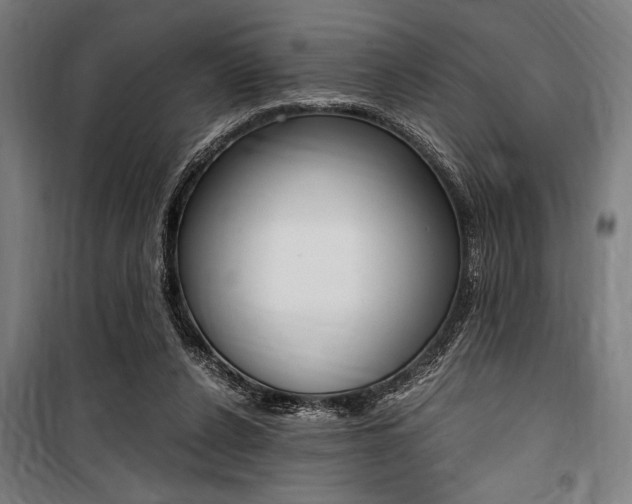 X0000100860256200806200845