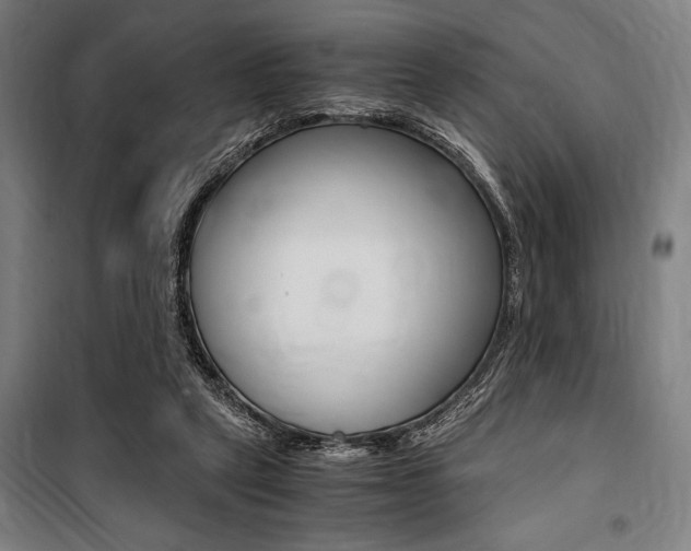 X0000100860257200806200845