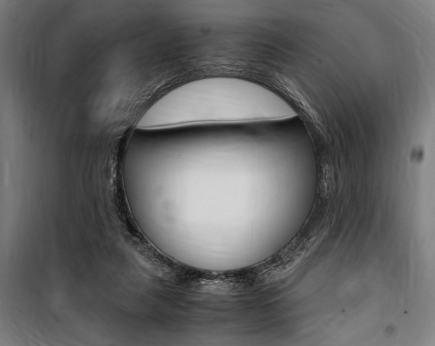 X0000100860259200806200845