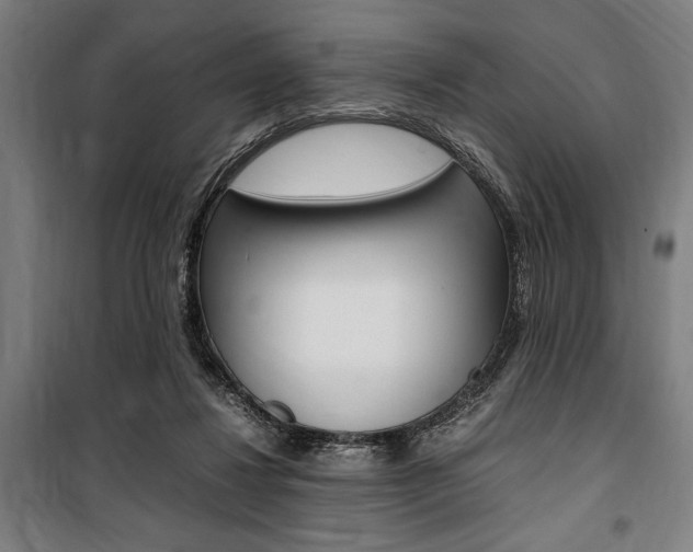 X0000100860260200806200845