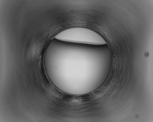 X0000100860263200806200845