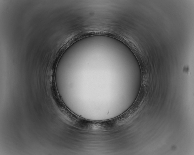 X0000100860264200806200845