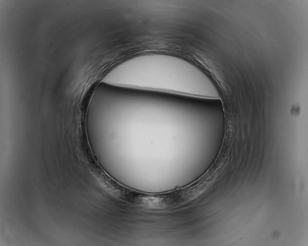 X0000100860265200806200845